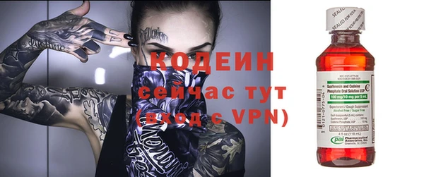 сатива Покачи