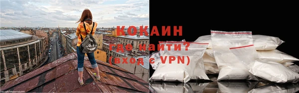 стаф Аркадак