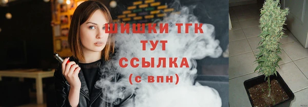 стаф Аркадак