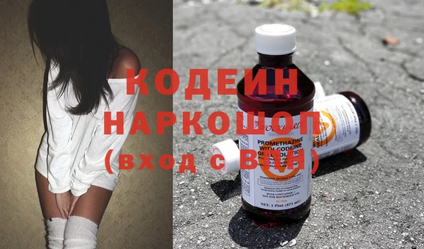 стаф Аркадак