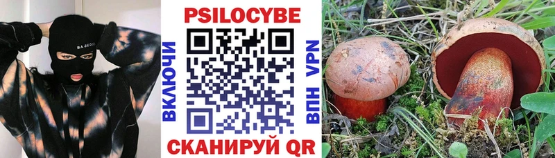купить наркоту блэк спрут Псилоцибиновые грибы Psilocybe Снежинск